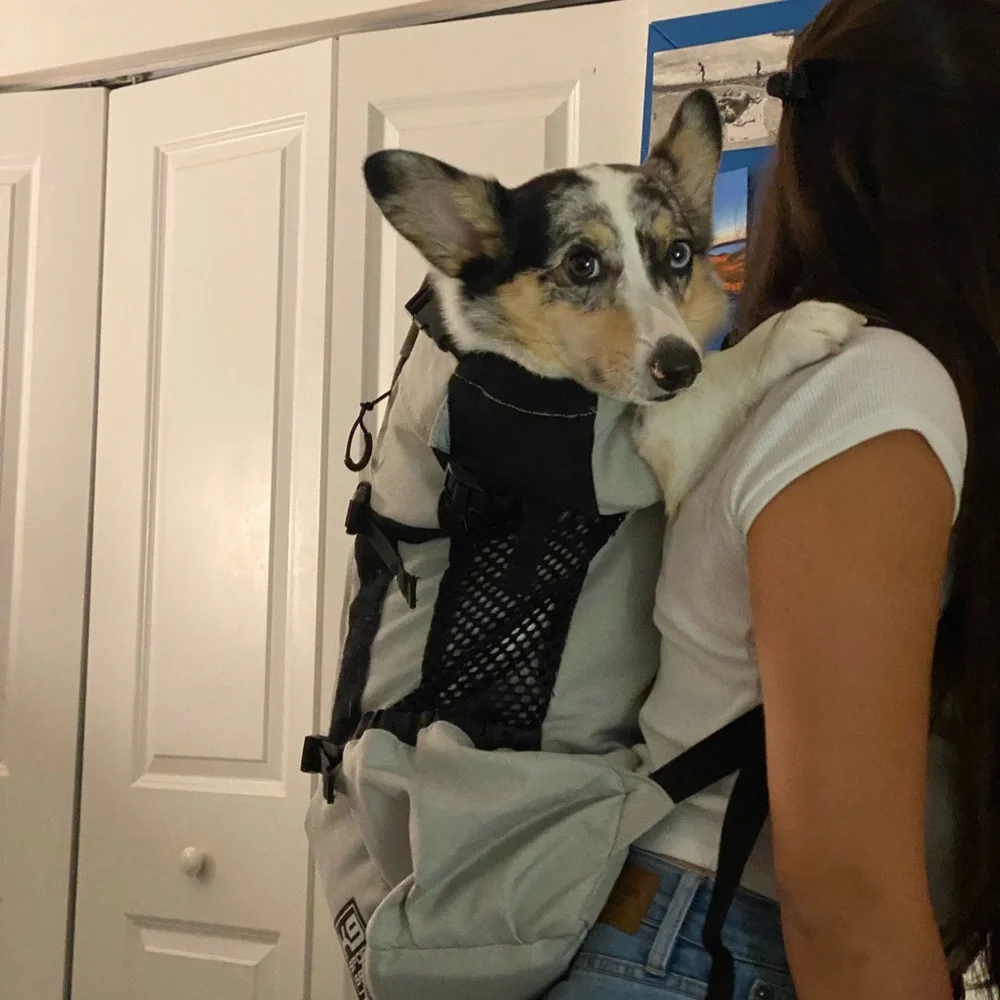 Pet Carrier Gray Backpack